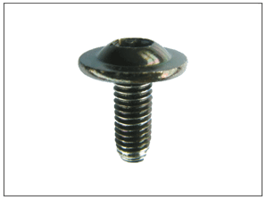 Washer Head Torx Bolt M6X18X16
