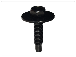 Bolt Black M5x25mm 