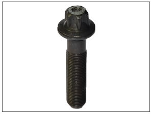 Bolt Crank Covering (Triger Set) 55187537 Fiat Doblo Albea Egea 
