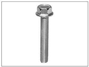 Washer Head Bolt White M5X30